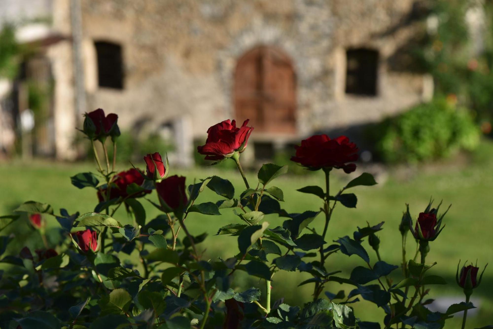 Piano Nobile Al Roseto Del Drago Villa San Bernardo  Eksteriør billede